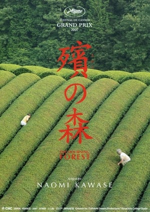 殡之森 (2007)