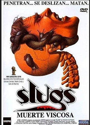 Slugs 31