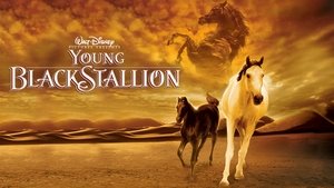 Young Black Stallion (2003)