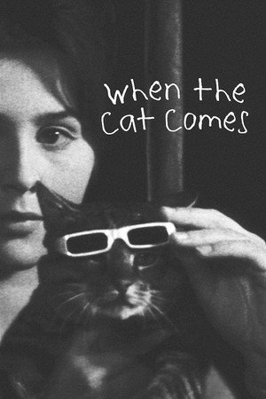 When the Cat Comes