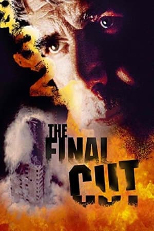 Poster The Final Cut - Tödliches Risiko 1995