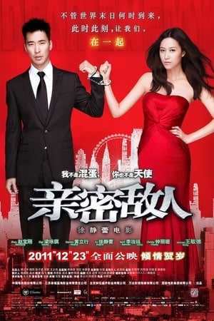 Poster 亲密敌人 2011