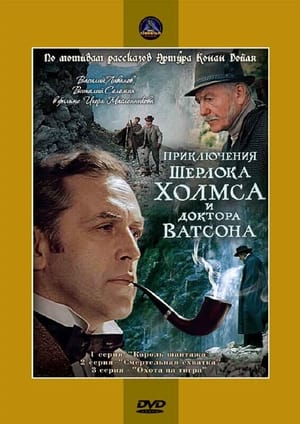 Poster Приключения Шерлока Холмса и доктора Ватсона 1980