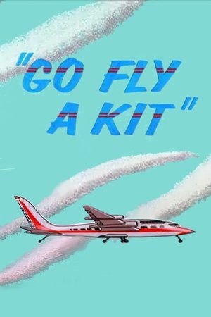 Image Go Fly a Kit