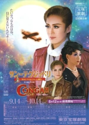 Poster 『サン＝テグジュペリ』 －「星の王子さま」になった操縦士 2012