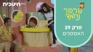 The collectors | StreamHub