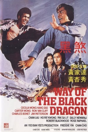 Image Way of the Black Dragon