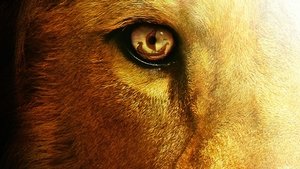 Le cronache di Narnia – Il viaggio del veliero