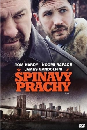 Poster Špinavý prachy 2014