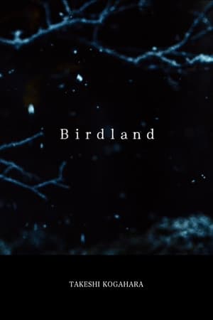 Poster Birdland 2019