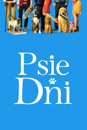 Image Psie dni