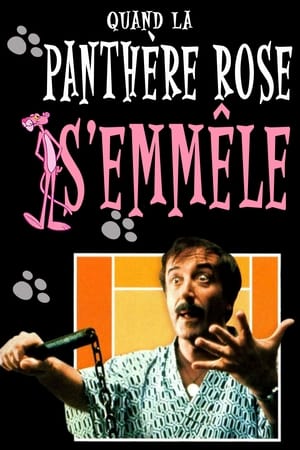 Poster Quand la Panthère Rose s'emmêle 1976