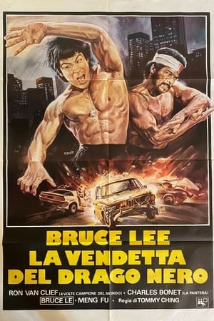 Image Bruce Lee: la vendetta del drago nero