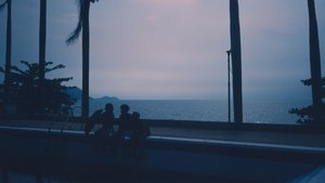 Bottom Lotus In December 2025
