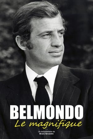 Poster Úžasný pan Belmondo 2017