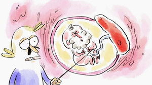 Wer nicht fragt, stirbt dumm!: 2×2