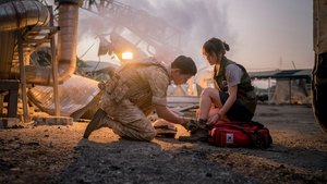 Descendants of the Sun (2016) Hindi Season 1 Complete