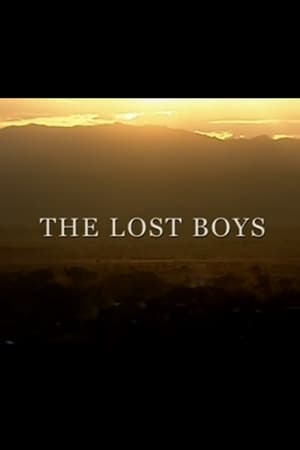 The Lost Boys poster