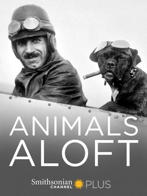 Image Animals Aloft