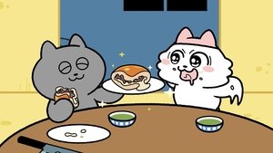 Épisode 5