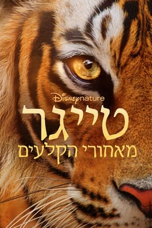 Image טייגר – מאחורי הקלעים