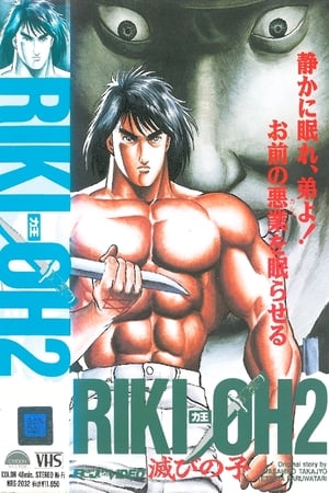 Poster Riki-Oh 2 - Child of Destruction 1990