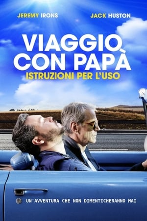 Poster Viaggio con papà - Istruzioni per l'uso 2018