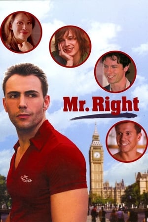 Poster Mr. Right (2009)