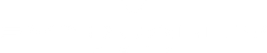 Synduality Noir — Logos 1