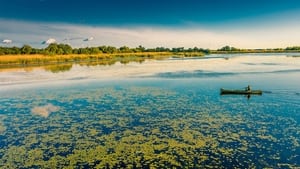 Earth's Great Rivers II Danube