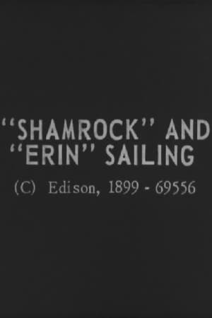 "Shamrock" and "Erin" Sailing poster