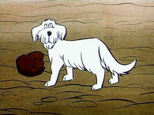 Adolars phantastische Abenteuer: 1×2