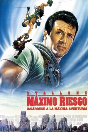 Poster Máximo riesgo 1993