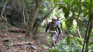 Journeys in Japan: 11×12