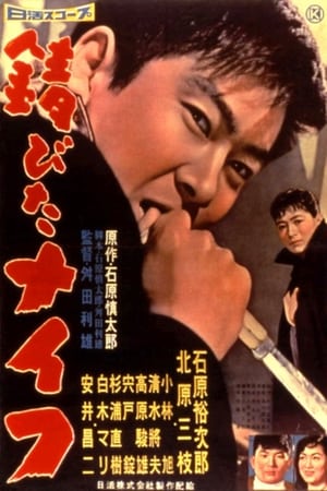 Poster 生锈的刀 1958