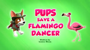 Image Pups Save a Flamingo Dancer