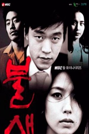 Poster 불새 2004