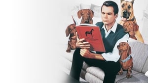 Çirkin Sosis Köpek (1966) izle