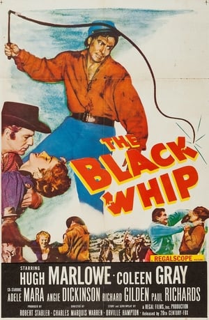 Image The Black Whip