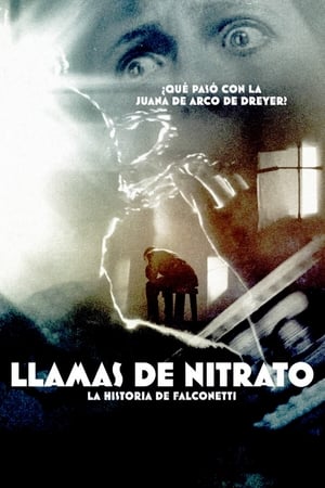 Poster Llamas de nitrato 2015