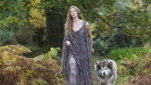 Vikings saison 1 Episode 9