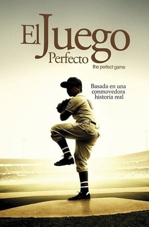 Image El juego perfecto