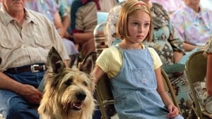 مشاهدة فيلم Because of Winn-Dixie 2005 مترجم