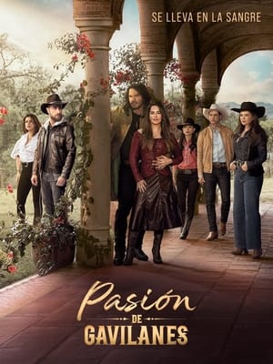 poster Hidden Passion