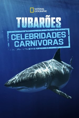 Image Most Wanted Sharks
