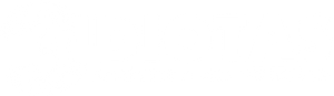 3 Idiotas