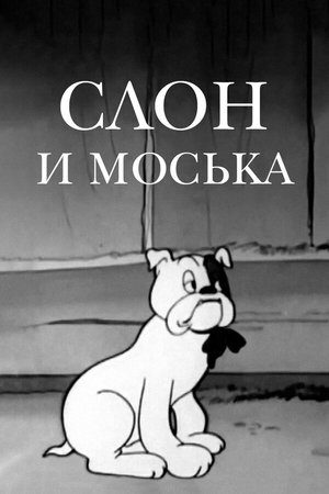 Image Слон и Моська