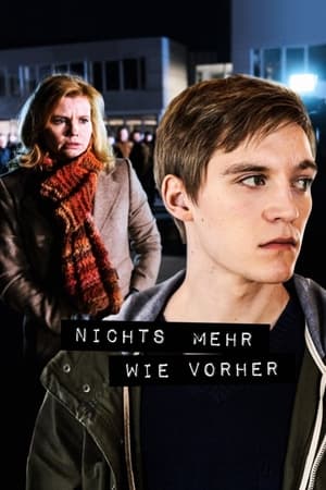 Poster Nichts mehr wie vorher (2013)