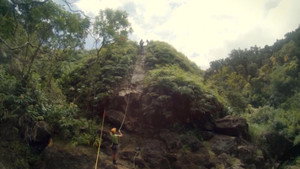 Jesus Came to Save Me | StreamHub