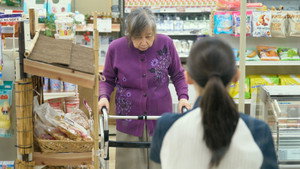 The Convenience Store